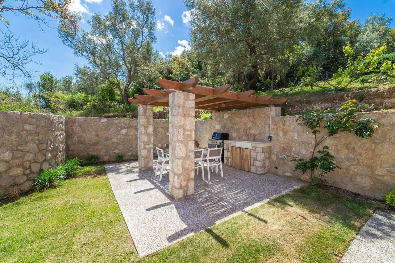 31 Blue Ionian Villas Apolpaina Exteriör bild